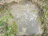 image of grave number 847056